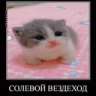 SOLE emote