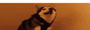 BIG emote