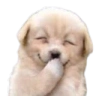 gigglePup emote