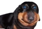 Erm emote