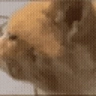 WOT emote
