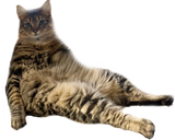 Chompeh