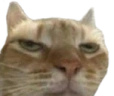 Ugh emote