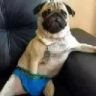 ESTA emote