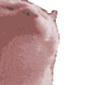 superhypersupercatJAM emote