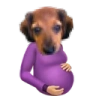 RalpherPregnant emote