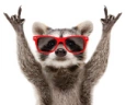 istockphoto-1180219262-612x612 emote