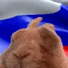 rusVibe emote
