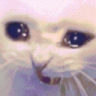 STOOOOOOP emote