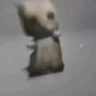 gatoPls emote