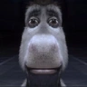 damn emote