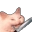 catkatana