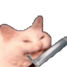 catkatana emote