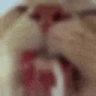 SLURP emote