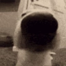DogSniffa emote