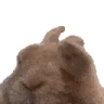 Vibin emote