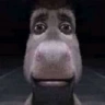 donkeyStare emote