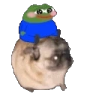 pugSit emote