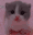 Scared