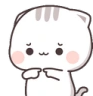 catShy emote