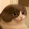 op emote