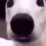 scared emote