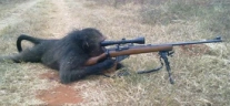 snipermonkey emote