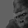 popogich emote