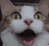 IveGoneCompletelyInsane emote