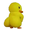 DuckyTwerk emote