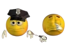 Arrested emote