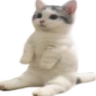 catsittingverycomfortable2 emote