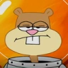 SandyStare emote