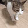 falldamage emote
