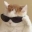 Emote