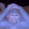 ASHALETb emote