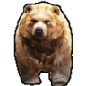 BearVibe emote
