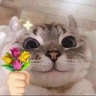 FORYOU emote