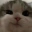catHeh