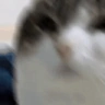 OhTheMiseryEverybodyWantsToBeMyEnemySpareTheSympathyEverybodyWantsToBeMyEnemy-y-y-y-y emote