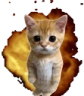 Boom emote