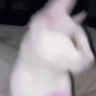 JAMMING emote