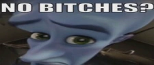 NoBitches emote