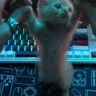 catDisco emote