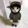 YeatCat emote