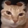devile emote
