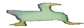 widegoosePls emote