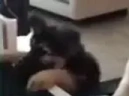 Gaming emote