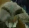 xdretarded emote