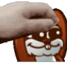 PetTheZairox emote